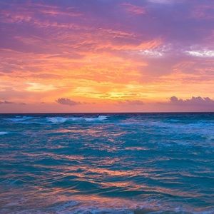 Meet your Posher, Enrique